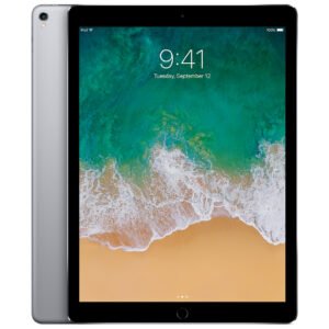 ipad pro 2 (12.9)(256gb)